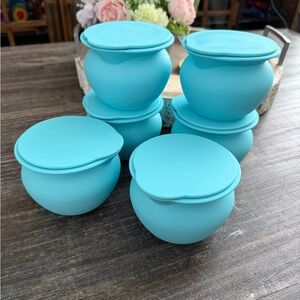 Celebrate it Teal Set of 6 Silicone Storage Containers